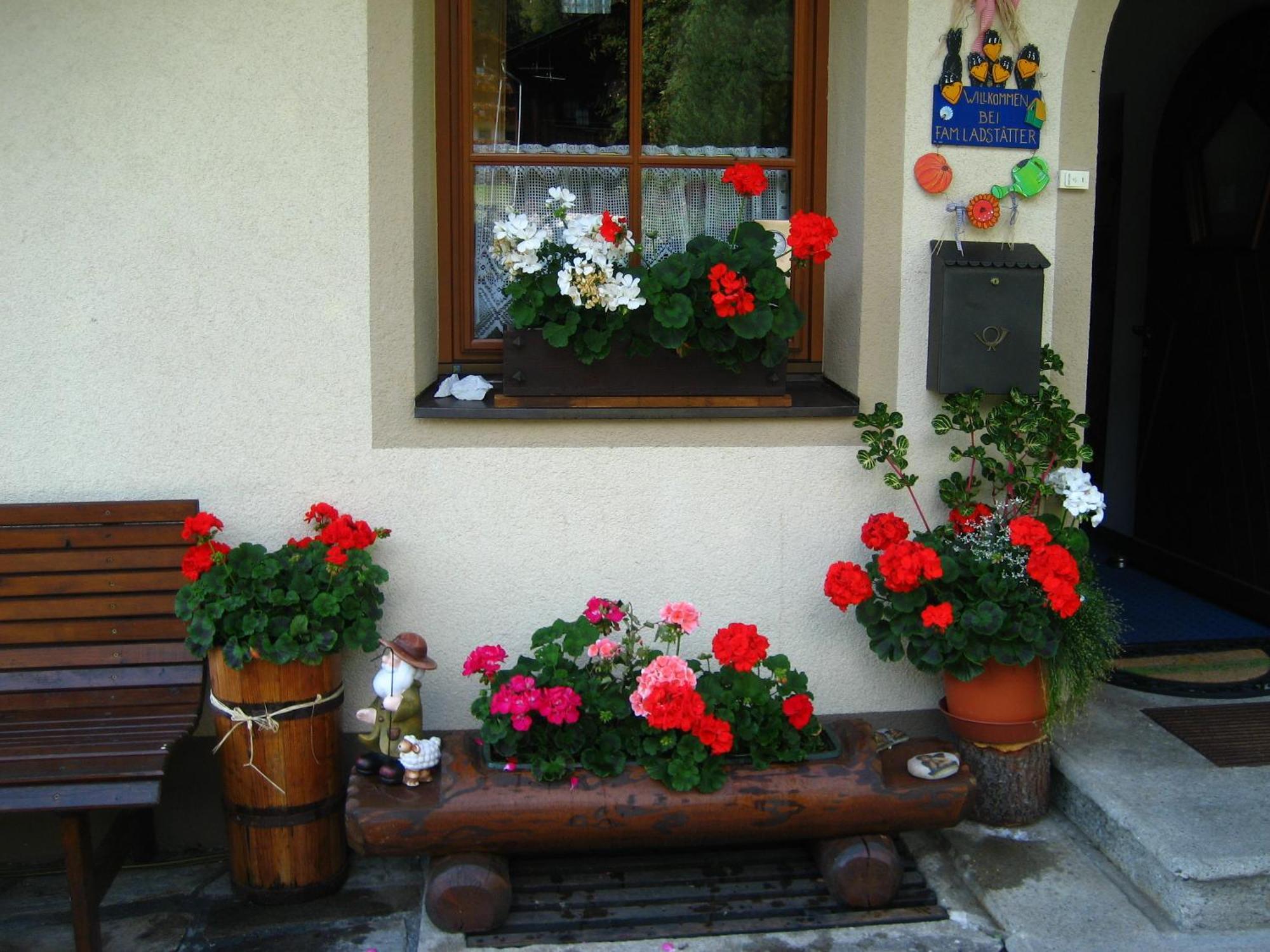 Haus Arnika Appartement Sankt Jakob in Defereggen Buitenkant foto